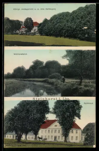 AK Steinhorst i. Lbg., Gutshaus, Wehrensteich, Kgl. Amtsgericht und altes Gefängnis