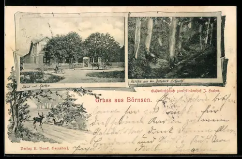 AK Börnsen, Gasthaus zum Lindenhof, Inh. J. Frahm, Haus und Garten