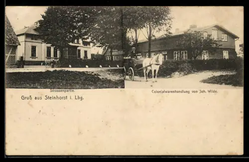 AK Steinhorst i. Lbg., Colonialwarenhandlung J. Wilde mit Strassenpartie u. Pferdewagen