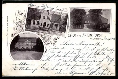 AK Steinhorst in Lauenburg, Villa Karberg, Gutshaus und Amtsgericht