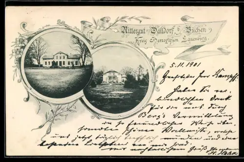 AK Dalldorf b. Büchen, Ansicht vom Rittergut