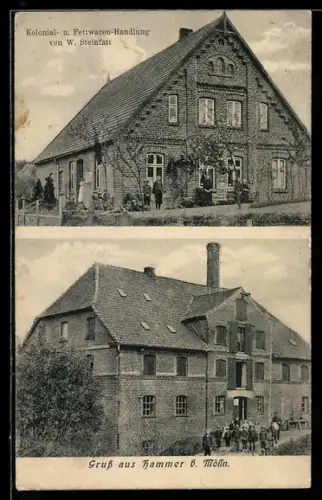 AK Hammer / Panten, Kolonial- und Fettwaren-Handlung von W. Steinfatt