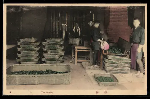AK Tea Drying
