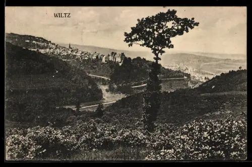 AK Wiltz, Panorama