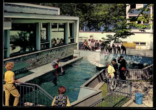 AK Bergen, The Aquarium in Bergen, Seals