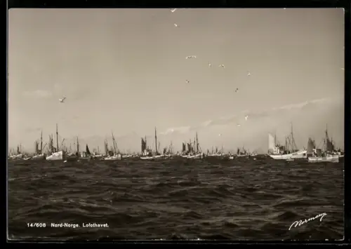 AK Lofothavet, Fischkutter auf Fangfahrt