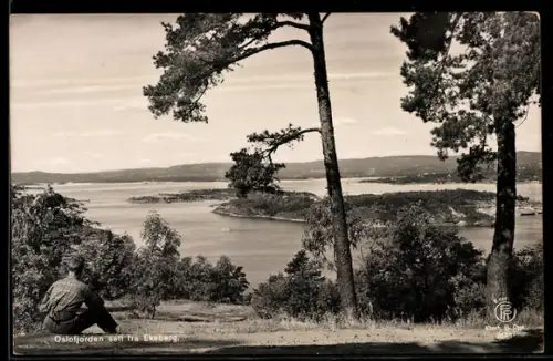 AK Ekeberg, Oslofjorden sett fra Ekeberg