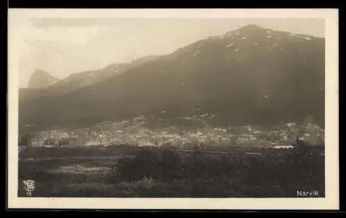 AK Narvik, Ortsansicht gegen die Berge
