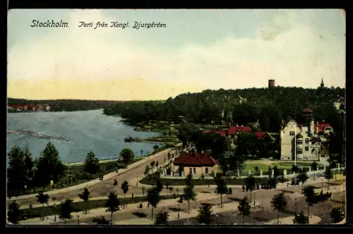 AK Stockholm, Parti fran Kongl. Djurgarden