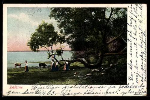 AK Dalarne, Frauen mit Rindern am Ufer