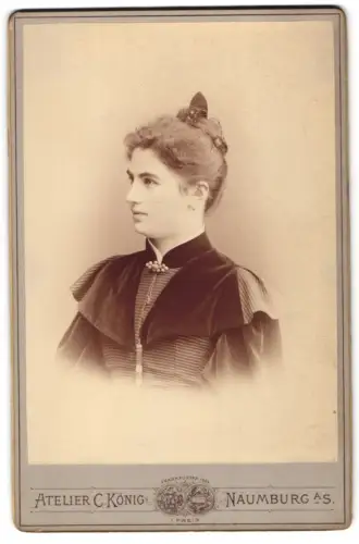 Fotografie Atelier C. König, Naumburg a.S., Post- u. Fischstrasse Ecke 19, Porträt einer Dame im Profil