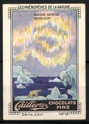 Reklamemarke Cailler Chocolats Fins, Aurore Boréale Nordlicht, Eisbär und Polarlichter