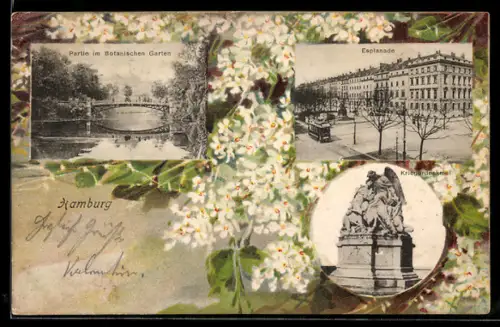 AK Hamburg, Partie im Botanischen Garten, Esplanade mit Strassenbahn, Kriegerdenkmal