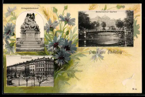 AK Hamburg, Kriegerdenkmal, Botanischer Garten, Esplanade