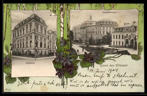 AK Erlangen, Anatomie, Partie am Collegienhaus