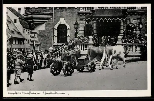 Foto-AK Kaufbeuren, Tänzelfest, Ochsen ziehen die Schwedenkanone