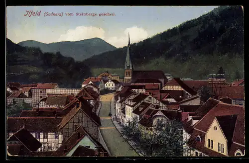 AK Ilfeld / Harz, Panoramablick vom Steinberge