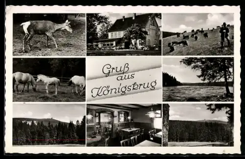 AK Braunlage, Gasthaus Königskrug, Aussen- und Innenansicht