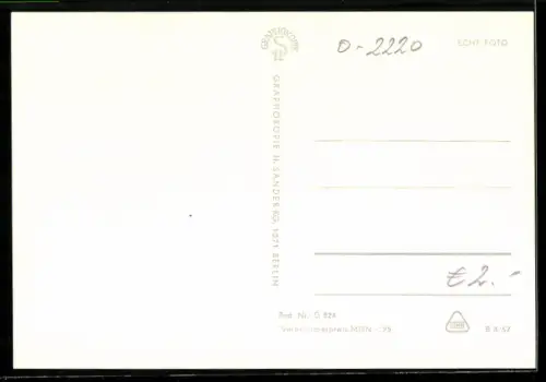 AK Wolgast, Rathaus, Hafen, Postamt