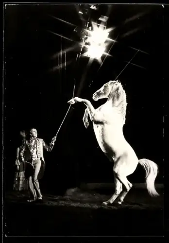 AK Günther Dorning im Zirkus mit einem weissen Pferd