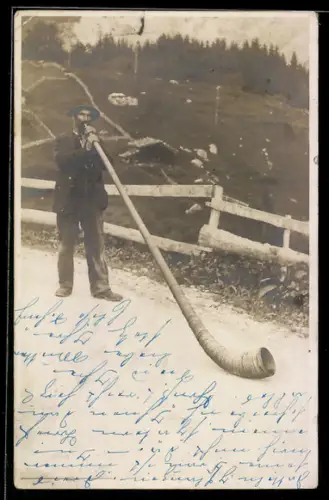Foto-AK Mann mit Alphorn vor einer Weide