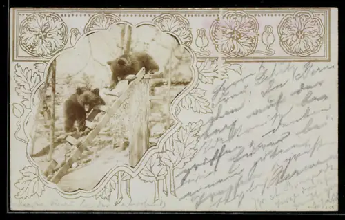 Foto-AK Kleine Bären auf einem Gerüst im Passepartout mit Mohn