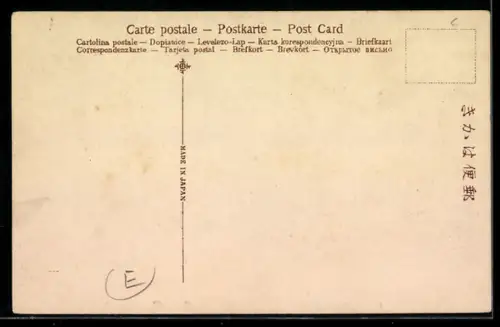 AK Packing Tea for shipment