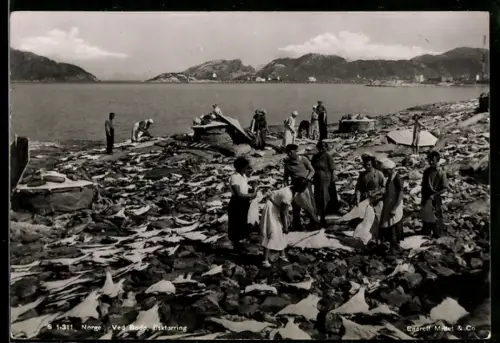 AK Ved Bodo, Fisktorring