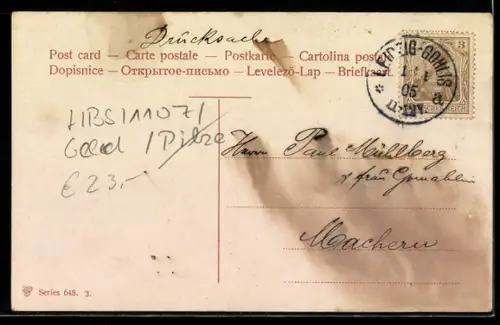 AK Geldscheine mit Champignons, Neujahrsgruss