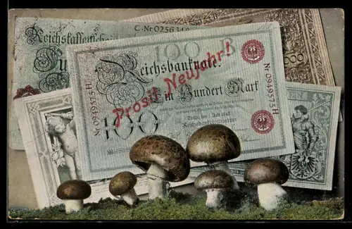 AK Reichsbanknoten, Geldscheine und Champignons