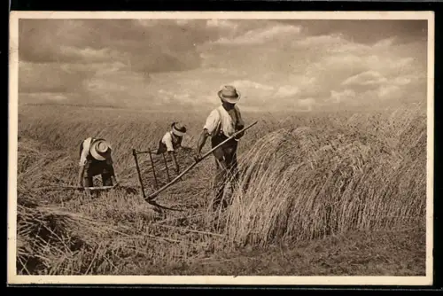 AK Bauern mit Sense bei der Ernste