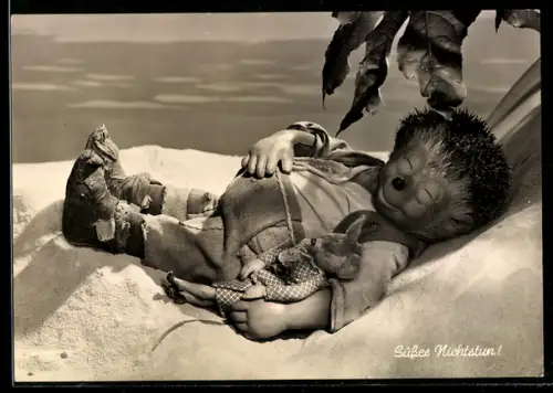 AK Igel Mecki mit Maus im Arm schläft am Strand