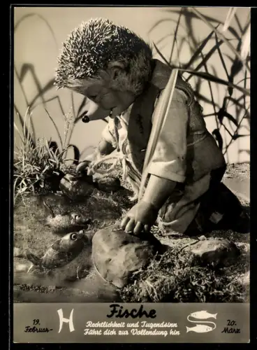 AK Igel Mecki mit Fischen am Ufer, Sternzeichen Fische