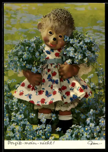 AK Mecki-Dame sammelt Vergissmeinnicht