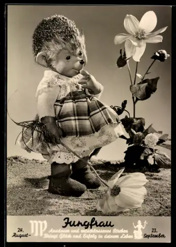 AK Igel Mecki's Frau mit Blumen, Sternzeichen Jungfrau