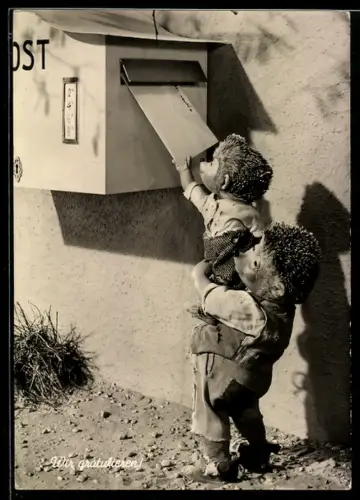 AK Igel Mecki und sein Sohn am Briefkasten