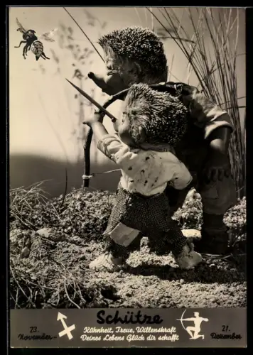 AK Igel Mecki und sein Sohn mit Pfeil und Bogen auf Insektenjagd, Sternzeichen: Schütze, 23.11. - 21.12.