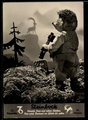 AK Mecki schaut mit einem Teleskop in der Hand auf einen Steinbock