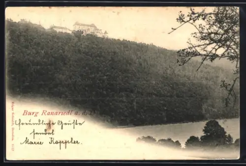 AK Neustift im Mühlkreis, Burg Ranariedl auf bewaldetem Hügel über Tal