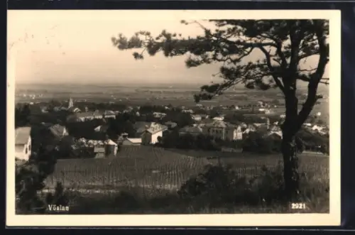 AK Vöslau, Ortspanorama mit Weinbergen und Kirche