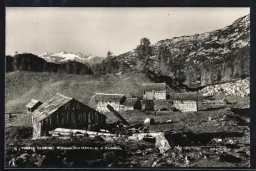 AK Albert Appel-Haus /Wildensee-Alm, Mit Almhütten und Dachsteinpanorama