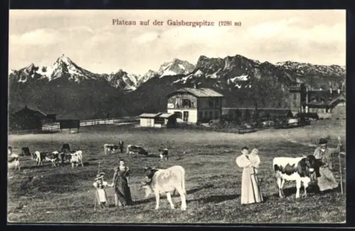 AK Gaisbergspitze, Plateau mit Weide, Höfen und Gebirgspanorama