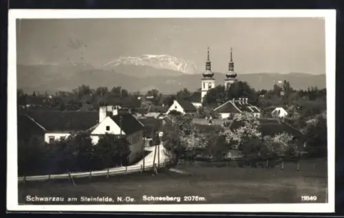 AK Schwarzau am Steinfelde, Ort mit Kirche und Schneeberg