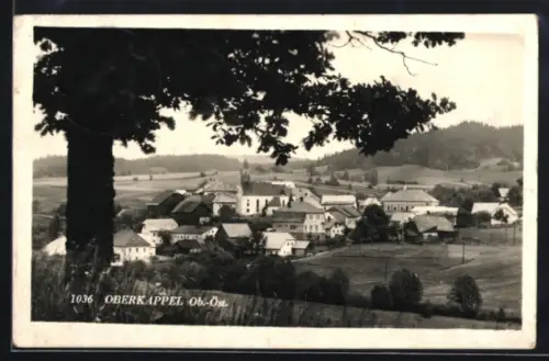 AK Oberkappel /Ob. Öst., Dorfpanorama mit Kirche