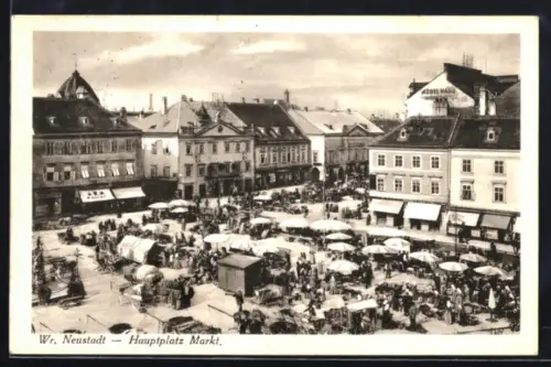 AK Wr. Neustadt, Hauptplatz Markt