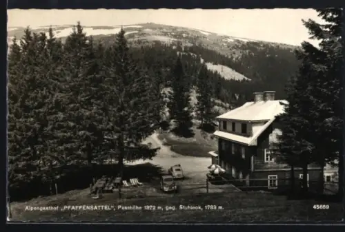 AK Steinhaus a. S., Alpengasthof Pfaffensattel gegen Stuhleck