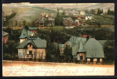 AK Dornbach, Ortspanorama mit Villen und Häusern