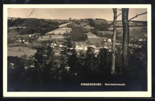 AK Sinnersdorf /Oststeiermark, Ortspanorama mit Feldern und Wald