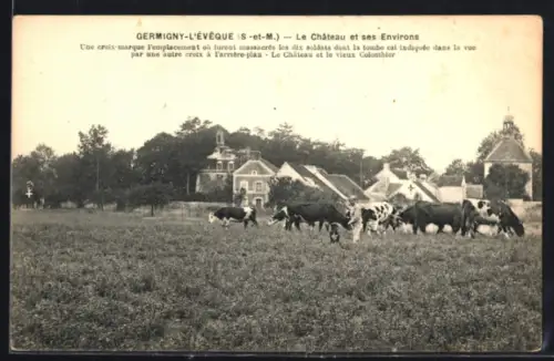 AK Germigny-l`Évêque /S.-et-M., Le Château et ses environs avec le Vieux Colombier et le troupeau dans le champ