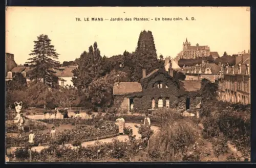 AK Le Mans, Jardin des Plantes: Un beau coin